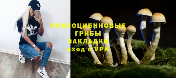 стаф Алексин