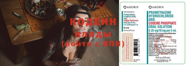 спиды Алзамай