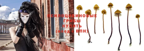 стаф Алексин