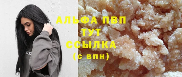 стаф Алексин