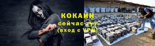 спиды Алзамай