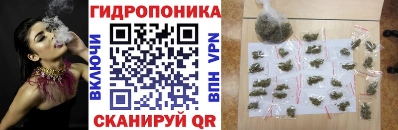 Конопля Bruce Banner  ссылка на мегу   Ижевск 